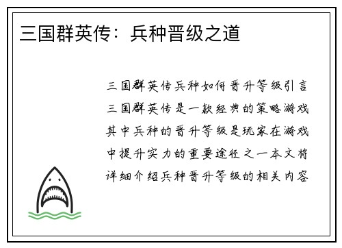 三国群英传：兵种晋级之道