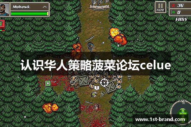 认识华人策略菠菜论坛celue